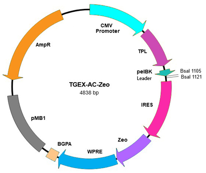 TGEX-AC-Zeo map